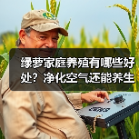 绿萝家庭养殖有哪些好处?净化空气还能养生!(图3) 绿萝家庭养殖有哪些好处?净化空气还能养生!(图3)