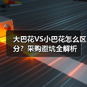 大巴花VS小巴花怎么区分？采购避坑全解析