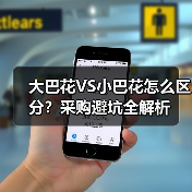 大巴花VS小巴花怎么区分?采购避坑全解析(图4) 大巴花VS小巴花怎么区分?采购避坑全解析(图4)