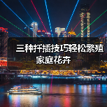三种扦插技巧轻松繁殖家庭花卉(图4) 三种扦插技巧轻松繁殖家庭花卉(图4)