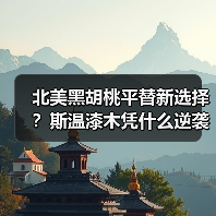 北美黑胡桃平替新选择？斯温漆木凭什么逆袭（图4）