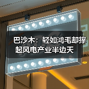 巴沙木:轻如鸿毛却撑起风电产业半边天(图4) 巴沙木:轻如鸿毛却撑起风电产业半边天(图4)