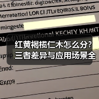 红黄褐榄仁木怎么分？三者差异与应用场景全解析（图1）
