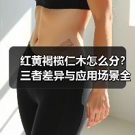 红黄褐榄仁木怎么分？三者差异与应用场景全解析（图4）