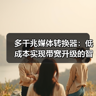 多千兆媒体转换器:低成本实现带宽升级的智能方案?(图2) 多千兆媒体转换器:低成本实现带宽升级的智能方案?(图2)