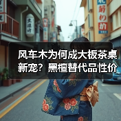 风车木为何成大板茶桌新宠?黑檀替代品性价比解析(图2) 风车木为何成大板茶桌新宠?黑檀替代品性价比解析(图2)