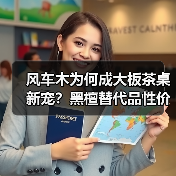 风车木为何成大板茶桌新宠?黑檀替代品性价比解析(图3) 风车木为何成大板茶桌新宠?黑檀替代品性价比解析(图3)
