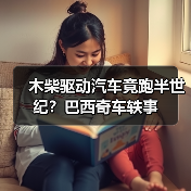 木柴驱动汽车竟跑半世纪?巴西奇车轶事(图2) 木柴驱动汽车竟跑半世纪?巴西奇车轶事(图2)