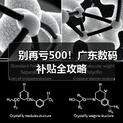 别再亏500！广东数码补贴全攻略（图4）