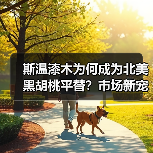 斯温漆木为何成为北美黑胡桃平替?市场新宠解析(图3) 斯温漆木为何成为北美黑胡桃平替?市场新宠解析(图3)