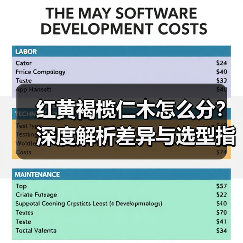 红黄褐榄仁木怎么分?深度解析差异与选型指南(图4) 红黄褐榄仁木怎么分?深度解析差异与选型指南(图4)