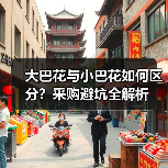 大巴花与小巴花如何区分?采购避坑全解析(图2) 大巴花与小巴花如何区分?采购避坑全解析(图2)