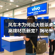 风车木为何成大板茶桌高端材质新宠?揭秘黑檀平替优选(图2) 风车木为何成大板茶桌高端材质新宠?揭秘黑檀平替优选(图2)