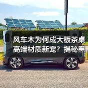 风车木为何成大板茶桌高端材质新宠?揭秘黑檀平替优选(图4) 风车木为何成大板茶桌高端材质新宠?揭秘黑檀平替优选(图4)