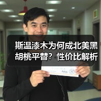 斯温漆木为何成北美黑胡桃平替？性价比解析（图1）