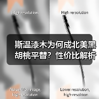 斯温漆木为何成北美黑胡桃平替？性价比解析（图4）