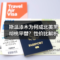 斯温漆木为何成北美黑胡桃平替？性价比解析（图3）