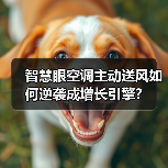 智慧眼空调主动送风如何逆袭成增长引擎？