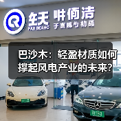 巴沙木:轻盈材质如何撑起风电产业的未来?(图3) 巴沙木:轻盈材质如何撑起风电产业的未来?(图3)