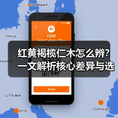 红黄褐榄仁木怎么辨?一文解析核心差异与选购指南(图2) 红黄褐榄仁木怎么辨?一文解析核心差异与选购指南(图2)