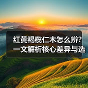 红黄褐榄仁木怎么辨?一文解析核心差异与选购指南(图4) 红黄褐榄仁木怎么辨?一文解析核心差异与选购指南(图4)