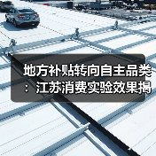 地方补贴转向自主品类：江苏消费实验效果揭秘（图1）