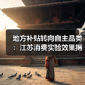 地方补贴转向自主品类：江苏消费实验效果揭秘（图3）
