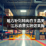 地方补贴转向自主品类：江苏消费实验效果揭秘（图4）