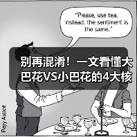 别再混淆！一文看懂大巴花VS小巴花的4大