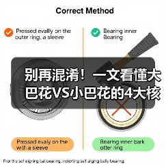 别再混淆！一文看懂大巴花VS小巴花的4大核心区别（图3）