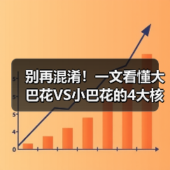 别再混淆！一文看懂大巴花VS小巴花的4大核心区别（图4）
