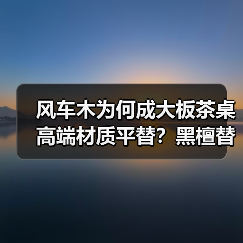 风车木为何成大板茶桌高端材质平替？黑檀替代新选择（图4）