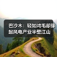 巴沙木：轻如鸿毛却撑起风电产业半壁江山（图2）