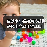 巴沙木：轻如鸿毛却撑起风电产业半壁江山（图1）