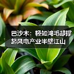 巴沙木：轻如鸿毛却撑起风电产业半壁江山（图4）