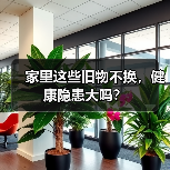 家里这些旧物不换,健康隐患大吗?(图2) 家里这些旧物不换,健康隐患大吗?(图2)