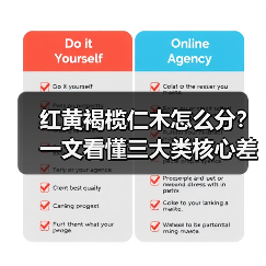 红黄褐榄仁木怎么分？一文看懂三大类核心差异与应用场景（图2）
