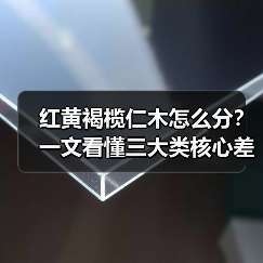 红黄褐榄仁木怎么分？一文看懂三大类核心差异与应用场景（图1）