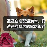 通透白搭配温润木,打造诗意栖居的家居设计新灵感(图3) 通透白搭配温润木,打造诗意栖居的家居设计新灵感(图3)