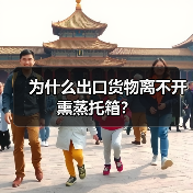 为什么出口货物离不开熏蒸托箱？（图2）