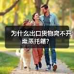 为什么出口货物离不开熏蒸托箱？（图3）