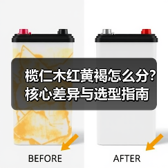 榄仁木红黄褐怎么分?核心差异与选型指南(图2) 榄仁木红黄褐怎么分?核心差异与选型指南(图2)