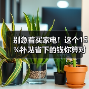 别急着买家电！这个15%补贴省下的钱你算
