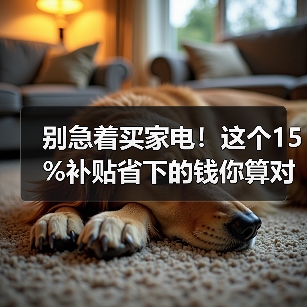 别急着买家电！这个15%补贴省下的钱你算对了吗？（图2）