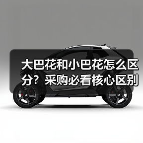 大巴花和小巴花怎么区分?采购必看核心区别解析(图2) 大巴花和小巴花怎么区分?采购必看核心区别解析(图2)