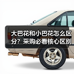 大巴花和小巴花怎么区分？采购必看核心区别