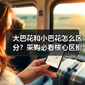 大巴花和小巴花怎么区分?采购必看核心区别解析(图4) 大巴花和小巴花怎么区分?采购必看核心区别解析(图4)