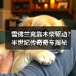 雪佛兰竟靠木柴驱动？半世纪传奇奇车揭秘（图4）