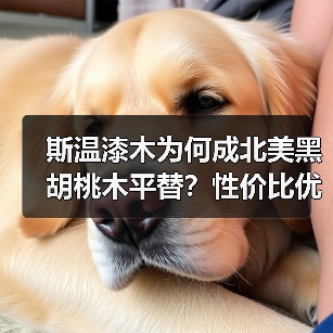 斯温漆木为何成北美黑胡桃木平替？性价比优