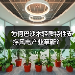 为何巴沙木轻质特性支撑风电产业革新?(图4) 为何巴沙木轻质特性支撑风电产业革新?(图4)